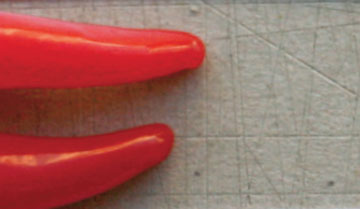 Queimando o livro “infanto-juvenil”