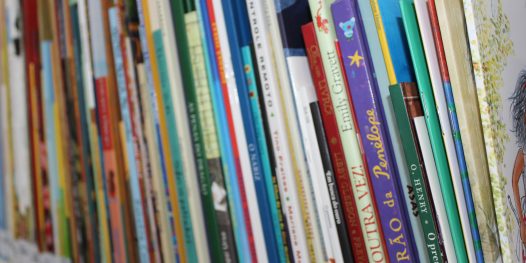 Eu quero minha biblioteca