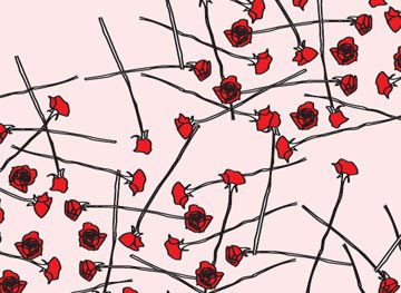 O importante não é ter razão