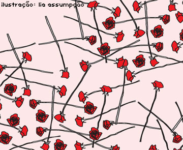 O importante não é ter razão