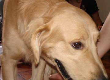 Novo diretor de redação da Tpm