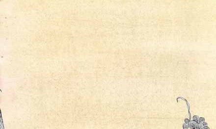 Mamma son tanto felice