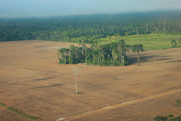 Sem essa de salvar o planeta
