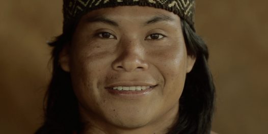 Amazônia pede socorro