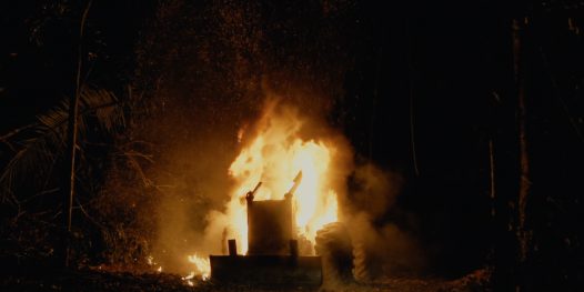 Antonio Nobre fala sobre o desmatamento na Amazônia