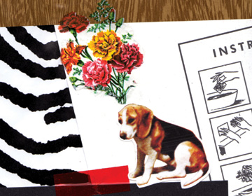 Antidepressivos pra cachorros