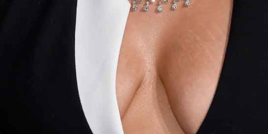 Não entrevista: as estrias da Lady Gaga