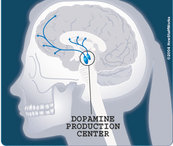Personalidade demais ou dopamina de menos?