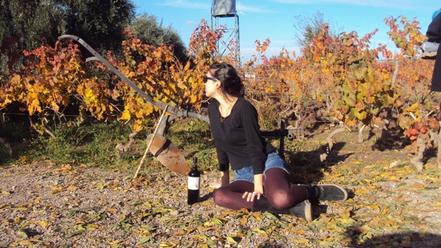 Pra não dizer que eu não falei do outono…