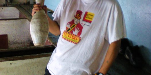 Sobre erguer pinos e casas