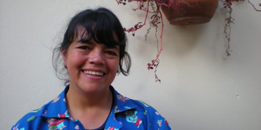 Prato cheio de Estrela