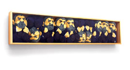 Encaixotando Lulinhas