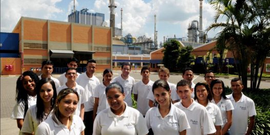 Transformar é formar