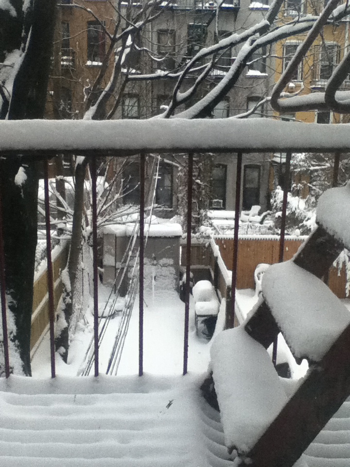 Da minha janela: Nova York está branca.