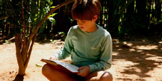 Meu pé de laranja lima