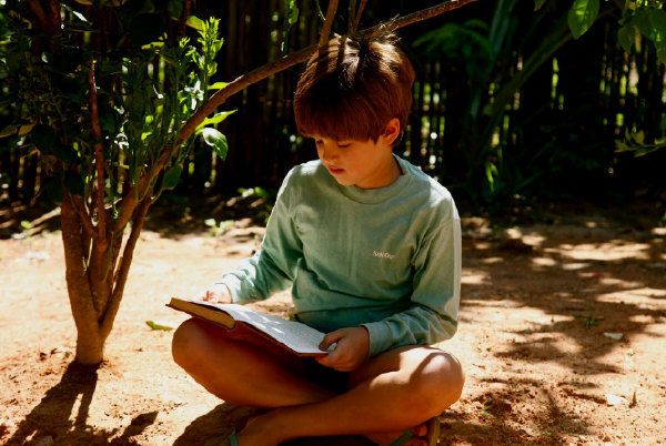 Meu pé de laranja lima