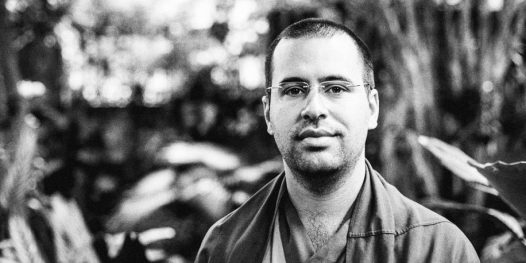 Lama Michel, Trip Transformadores 2015