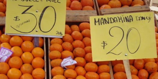 Mixirica, a fruta polêmica