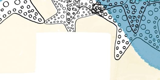 O incrível capitão Léo