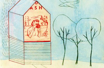 O sonho da árvore própria