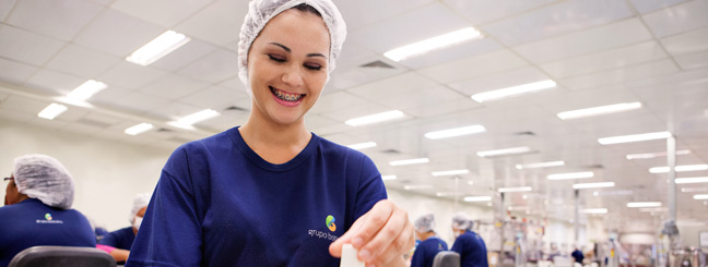 Três caminhos que levam à sustentabilidade