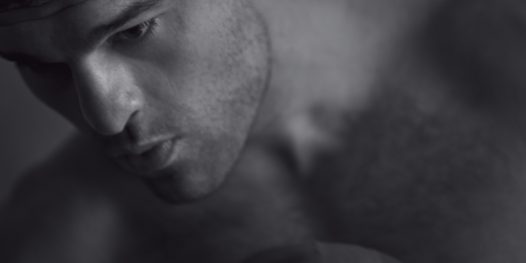 Vai pra cima, Shogun