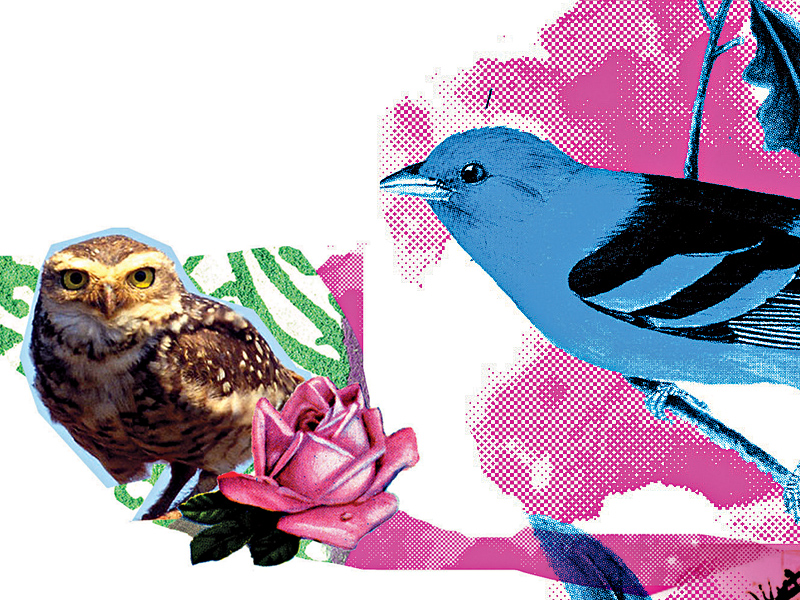 Adolescentes em tempos mothernos