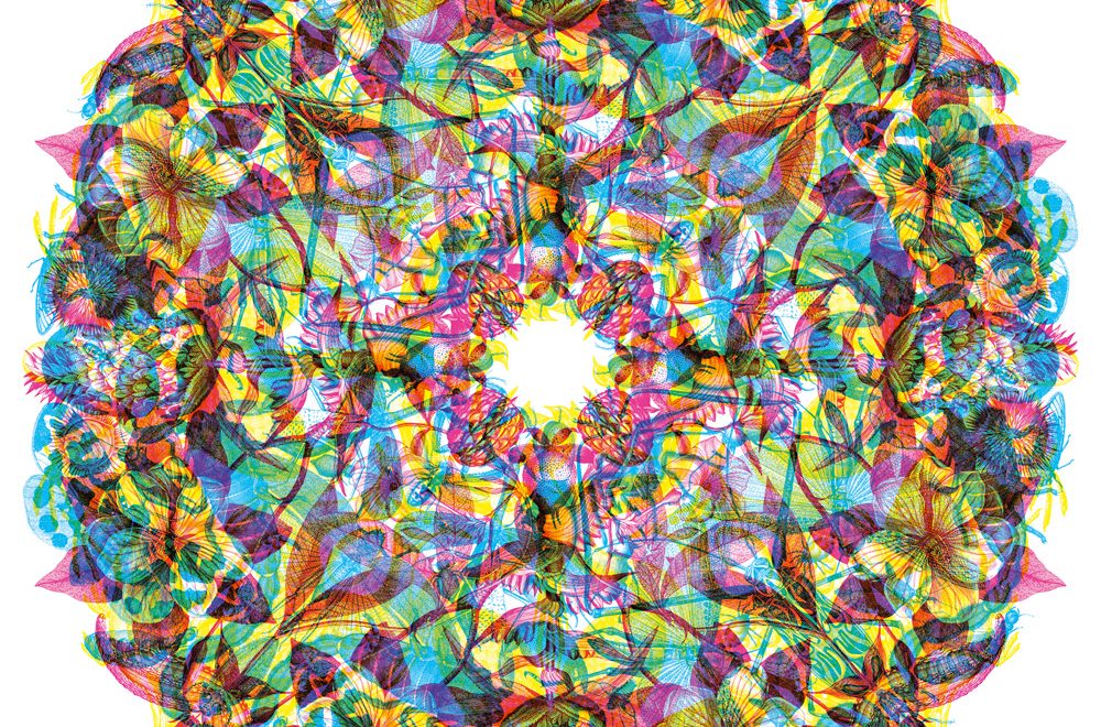 Em busca do sushi perfeito