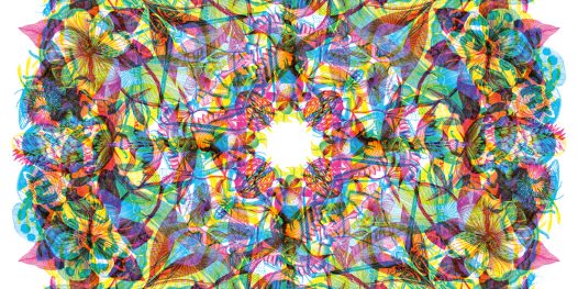 Em busca do sushi perfeito