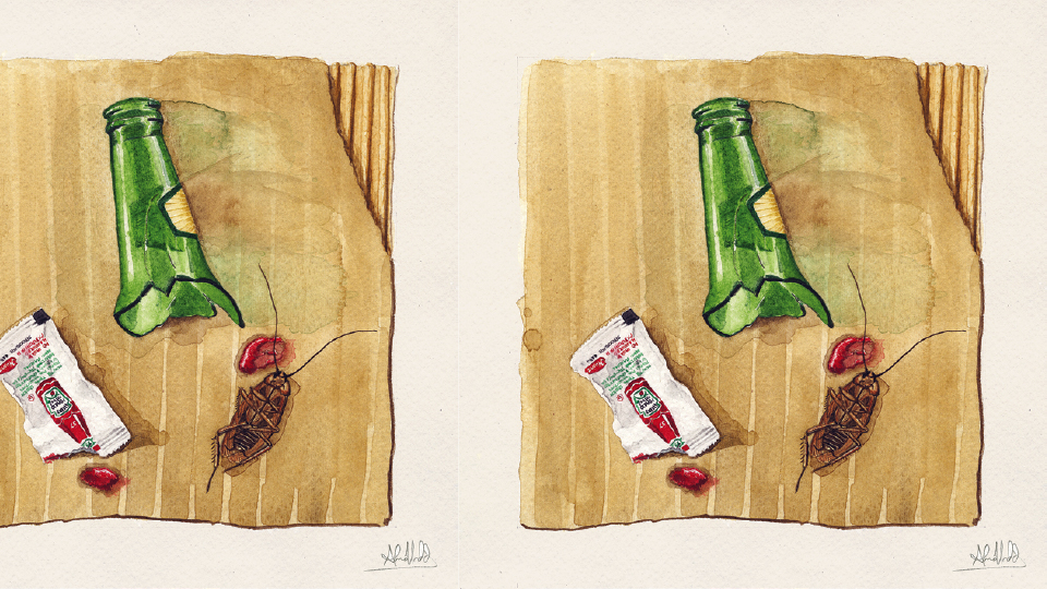 5 conselhos para quem tem 30 anos