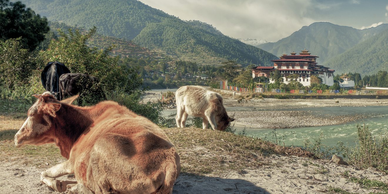 Butão contra o aquecimento global