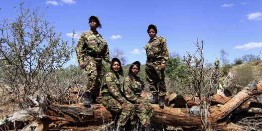 Força feminina na selva
