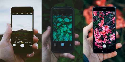 Reconexão com a natureza