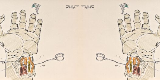 Precisando de uma mão?