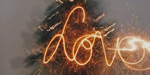 O surgimento das empresas for-love