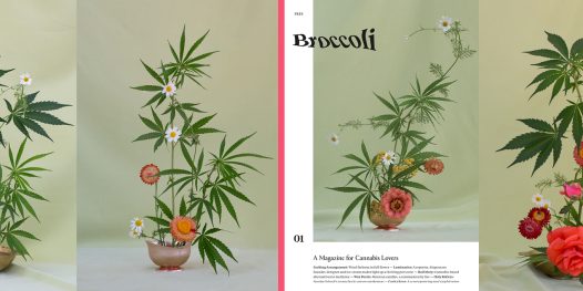 Para as maconheiras, com amor