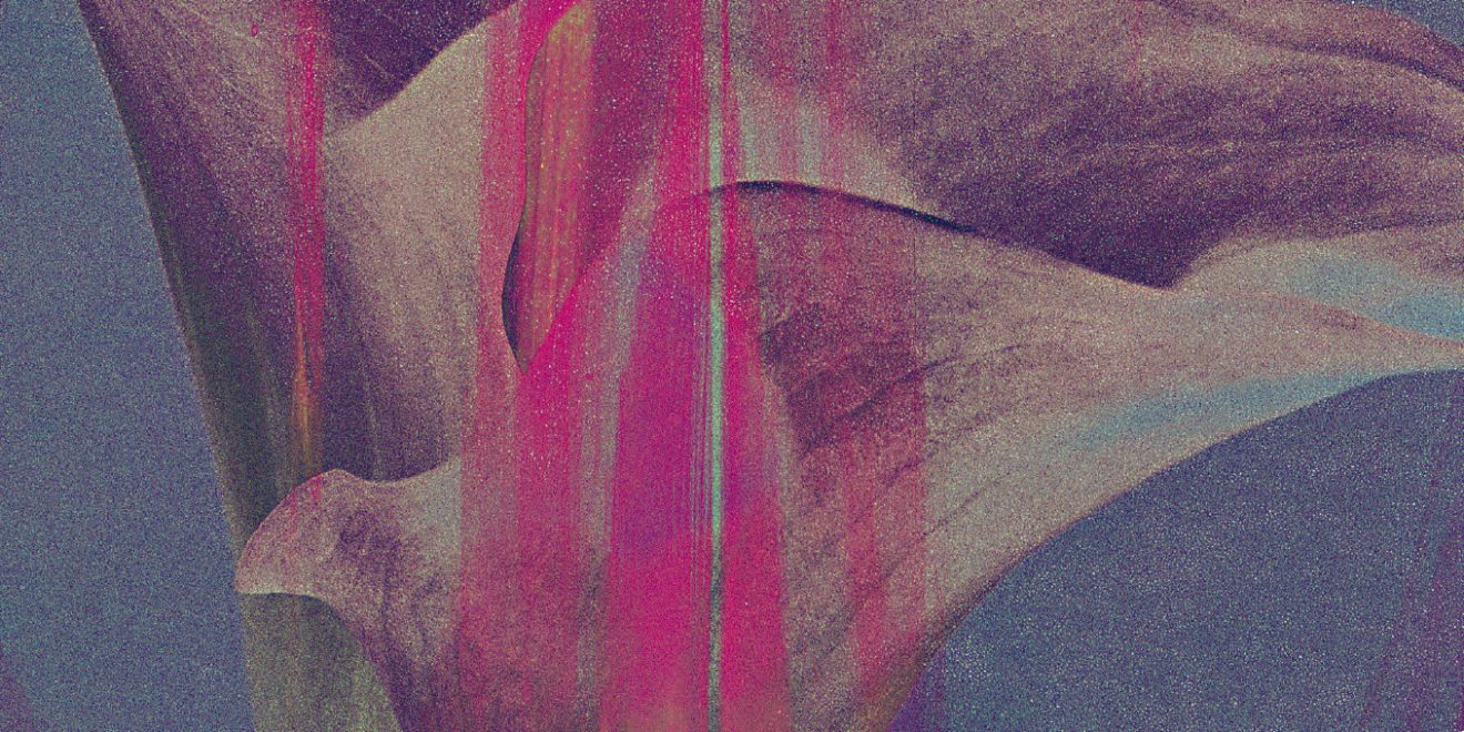 Regina Navarro Lins  e os dilemas da monogamia