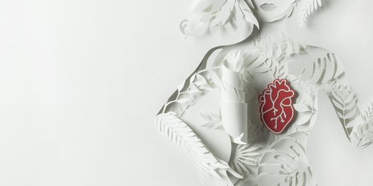 A Casa Tpm está chegando (mais cedo)