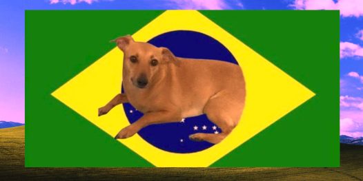 Brasil: república dos memes