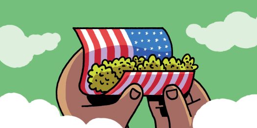 Crônica do fracasso