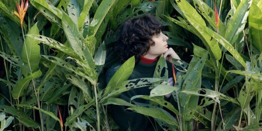 O cheiro colorido do som de Ana Frango Elétrico