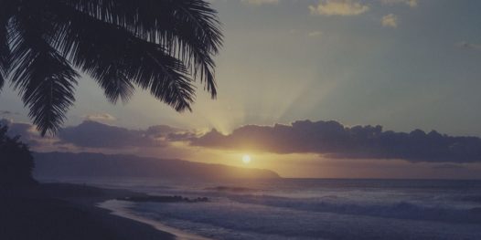 As muitas versões de um paraíso