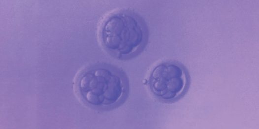 Grávida de três: um relato de violência obstétrica