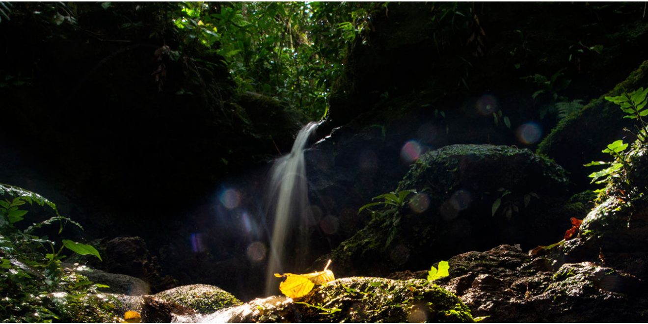 O renascimento do rio Pinheiros