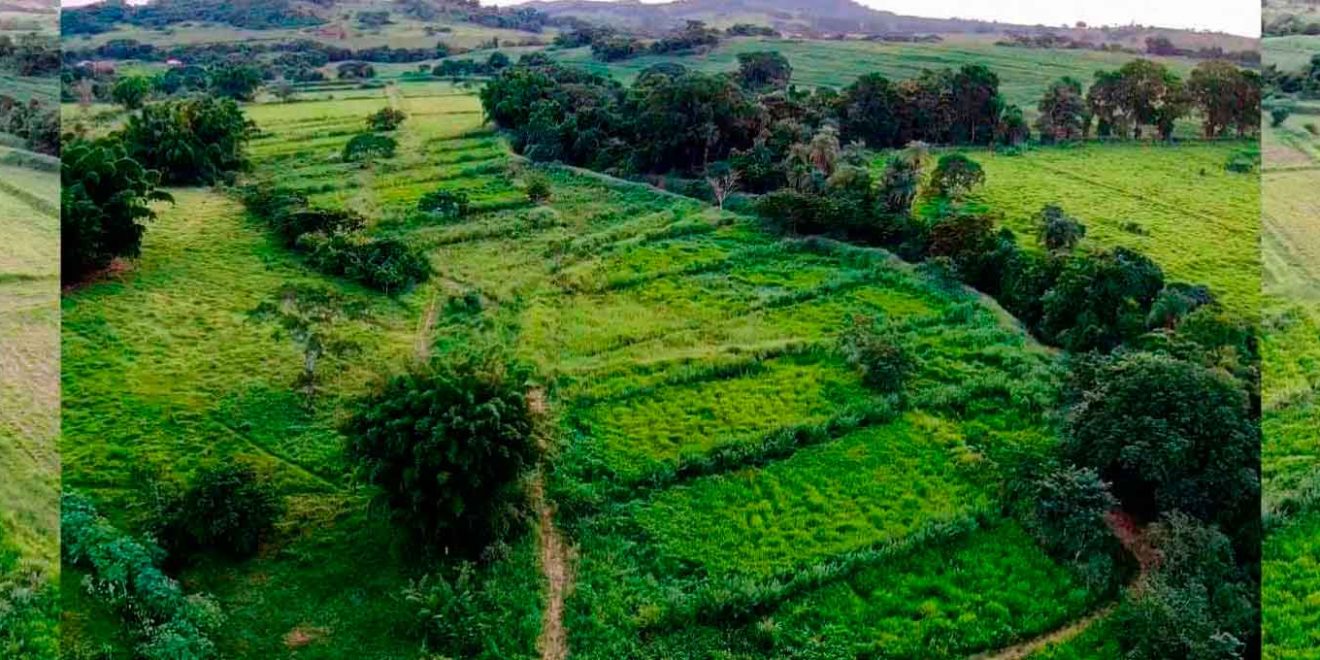 O pequeno produtor e a agropecuária sustentável