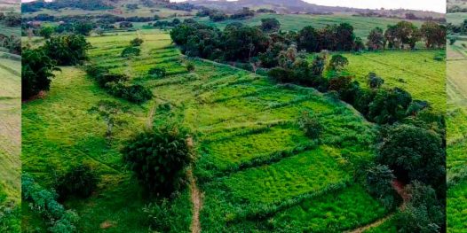 O pequeno produtor e a agropecuária sustentável
