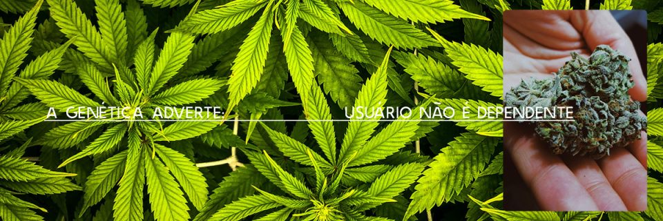 A genética adverte: usuário não é dependente /
por Fabricio Pamplona (@fpamplona), cientista e empreendedor