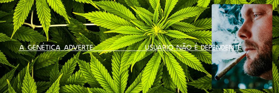 A genética adverte: usuário não é dependente /
por Fabricio Pamplona (@fpamplona), cientista e empreendedor