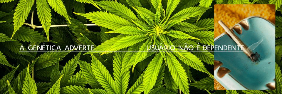 A genética adverte: usuário não é dependente /
por Fabricio Pamplona (@fpamplona), cientista e empreendedor